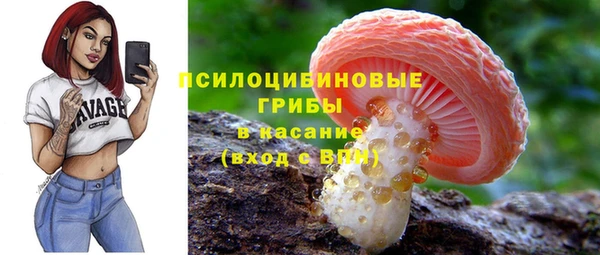 хмурый Бородино