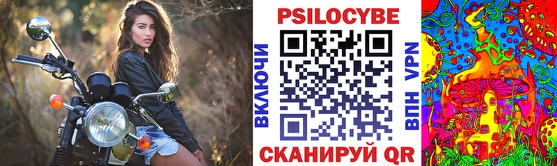 Псилоцибиновые грибы Cubensis Ковдор
