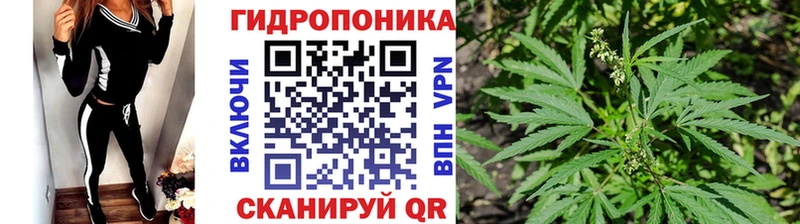 Шишки марихуана THC 21%  Ковдор 